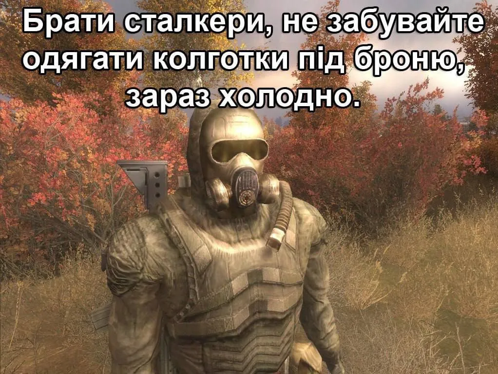 sadsadasd